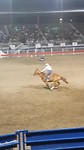 Rodeo