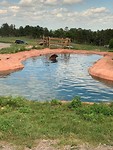 IMG-20190802-WA0044