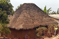 Huis met dak van gras