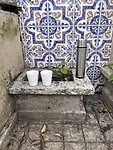 IMG_0443