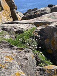 IMG_0628