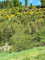 IMG_1076