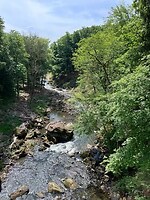 IMG_1091