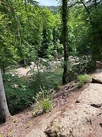 IMG_1085