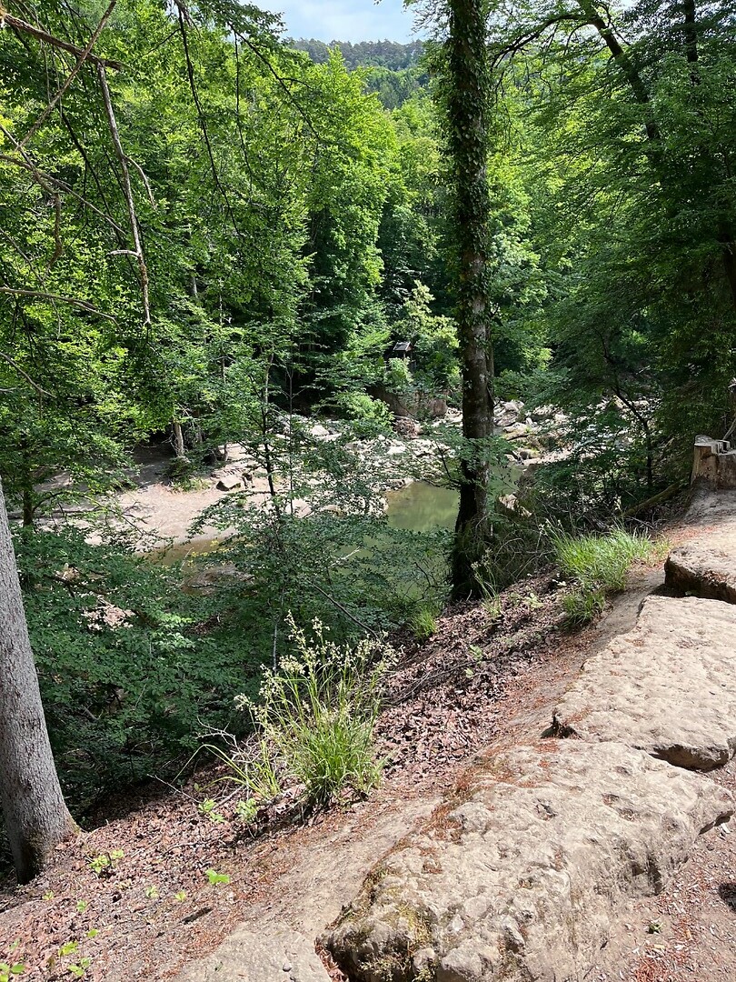IMG_1085