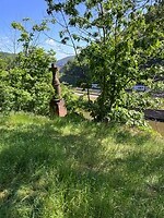 IMG_1100