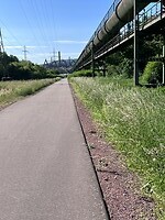 IMG_1114