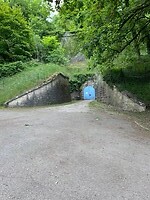 IMG_1137