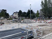 IMG_1228