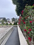 IMG_1227