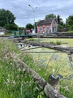 IMG_1268