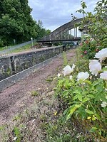 IMG_1271