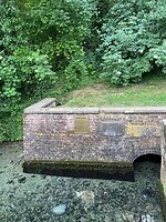 IMG_1274