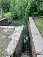 IMG_1275