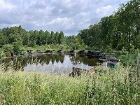 IMG_1391