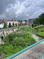 IMG_1395