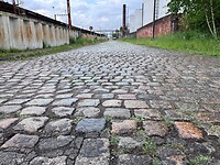 IMG_1401