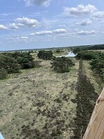 IMG_1422