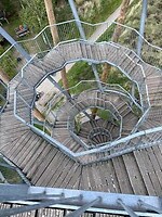 IMG_1419