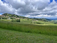 IMG_2064