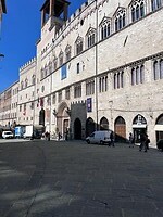 IMG_2230