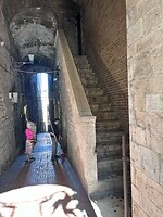IMG_2228