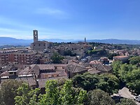 IMG_2225