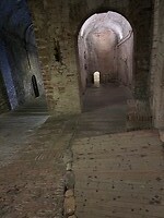 IMG_2213