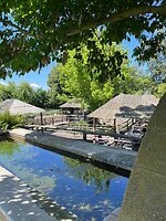 IMG_2385