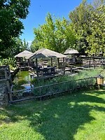 IMG_2386
