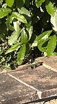 IMG_2390