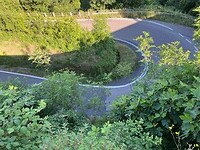IMG_2399
