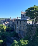 IMG_2401