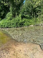 IMG_2407