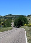 IMG_2409