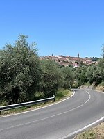 IMG_2426