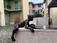 IMG_2471