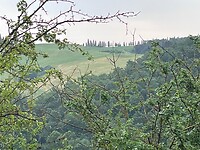 IMG_2465