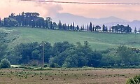 IMG_2464
