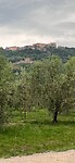 IMG_2462