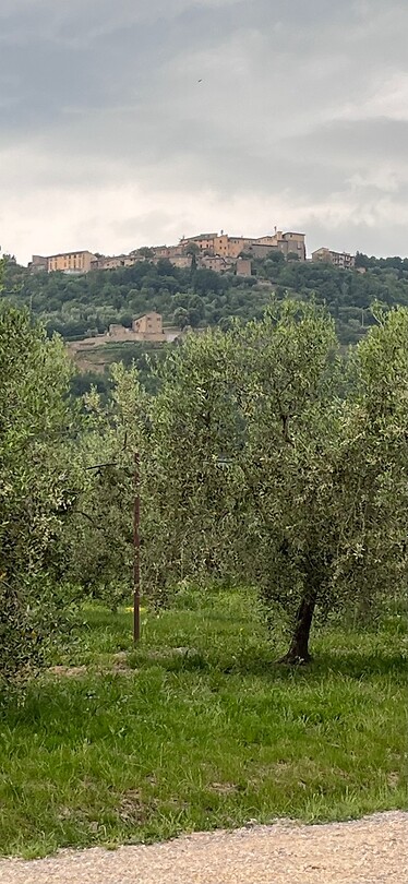IMG_2462