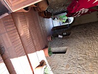 IMG_2430