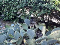 IMG_2480