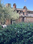 IMG_2481