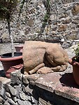 IMG_2483