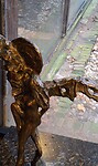 Kunstclub  jan  2024- Jits Bakker