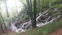Mooi stukje natuur