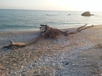 Privé strand