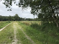 Steeds meer Veluwe