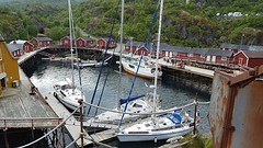 Nusfjord
